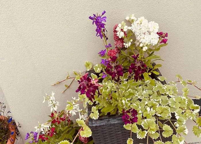 Casa vacanze Town House 4 Bed *